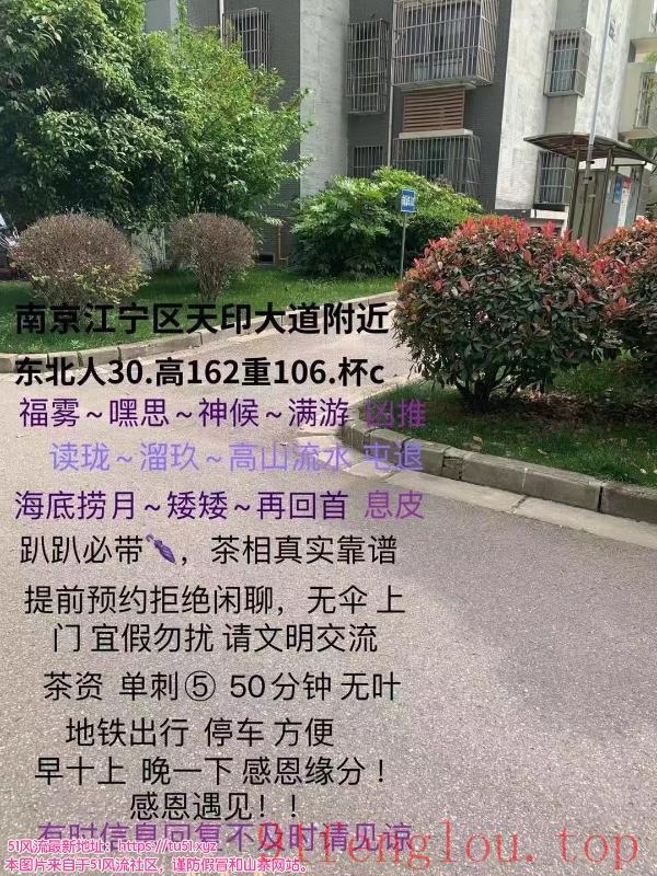 南京服务系天花板