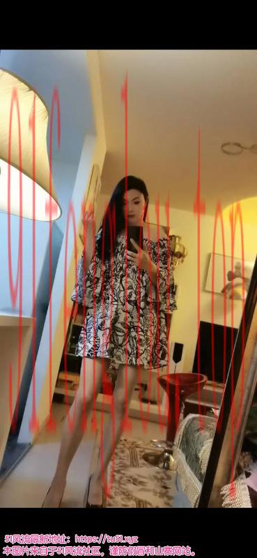 朝阳长腿气质御姐