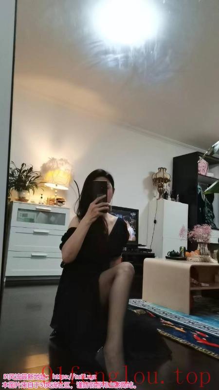 朝阳长腿气质御姐