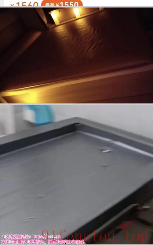 白石龙小豆芽 水床