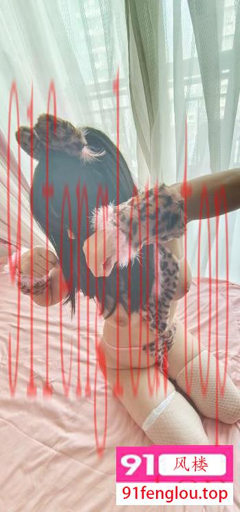 雁塔粉乳小花豹